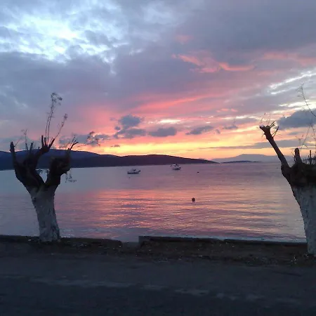 Gikas Triple Garden View A2